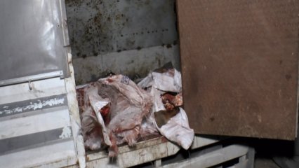 At eti kesim merkezine baskın! Kilolarca at eti bulundu, 3 hayvan kurtarıldı 