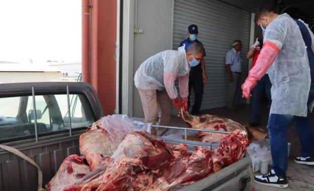 Tamı tamına 650 kilo! Ekipler zamanında yetişmese veremli etleri vatandaşa yedireceklerdi