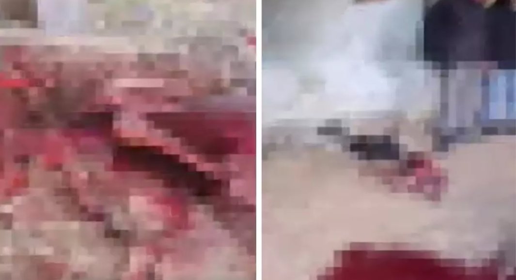 Halka Ramazan ayında at eti yedireceklerdi! Kıskıvrak yakalandılar