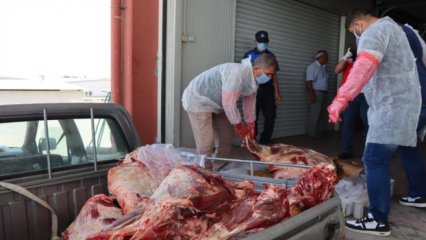 Tamı tamına 650 kilo! Ekipler zamanında yetişmese veremli etleri vatandaşa yedireceklerdi 