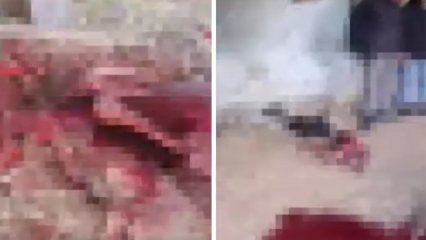 Halka Ramazan ayında at eti yedireceklerdi! Kıskıvrak yakalandılar 